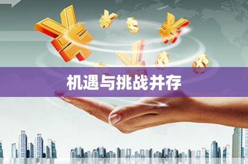 宜秀机遇与挑战并存