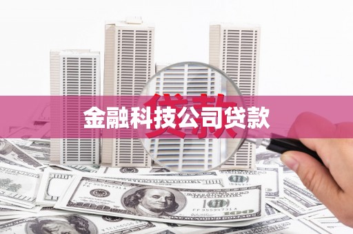 宜秀金融科技公司贷款