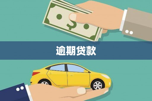 宜秀逾期贷款