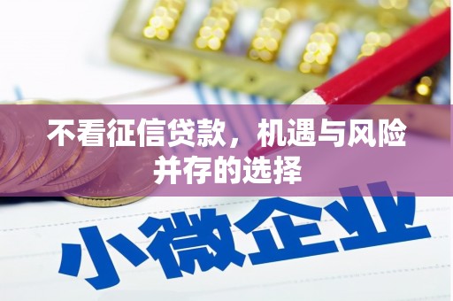 宜秀不看征信贷款，机遇与风险并存的选择