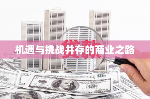 宜秀机遇与挑战并存的商业之路