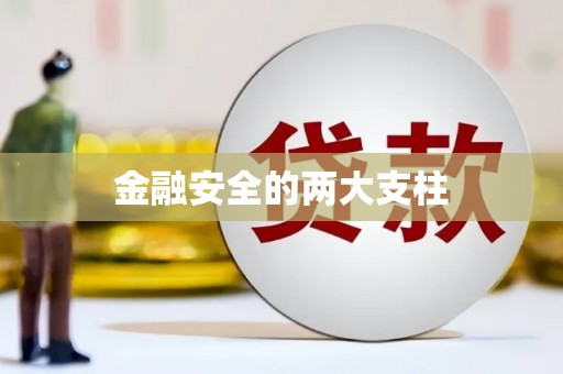 宜秀金融安全的两大支柱