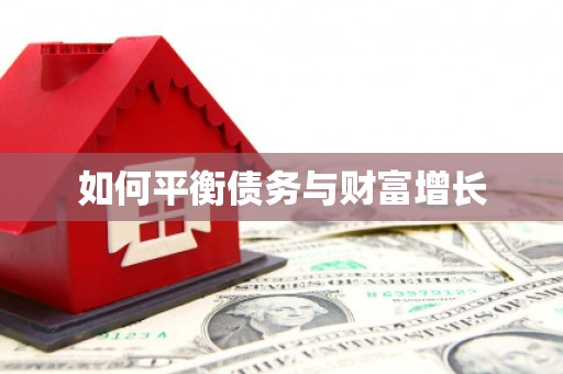 宜秀如何平衡债务与财富增长