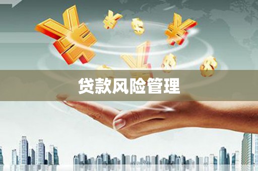 宜秀贷款风险管理