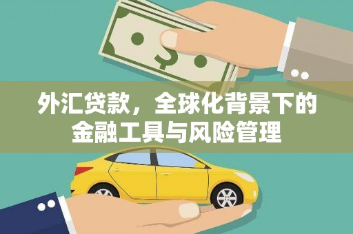 宜秀外汇贷款，全球化背景下的金融工具与风险管理