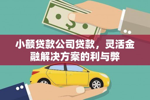 宜秀小额贷款公司贷款，灵活金融解决方案的利与弊