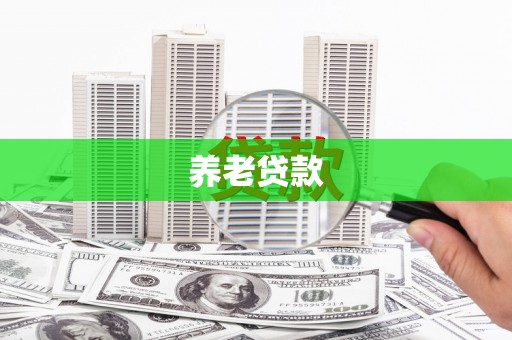 宜秀养老贷款
