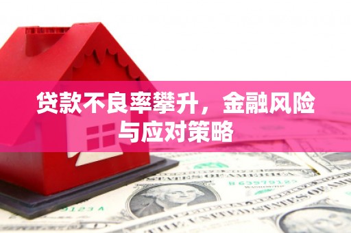 宜秀贷款不良率攀升，金融风险与应对策略