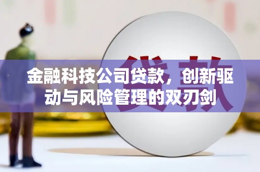 宜秀金融科技公司贷款，创新驱动与风险管理的双刃剑