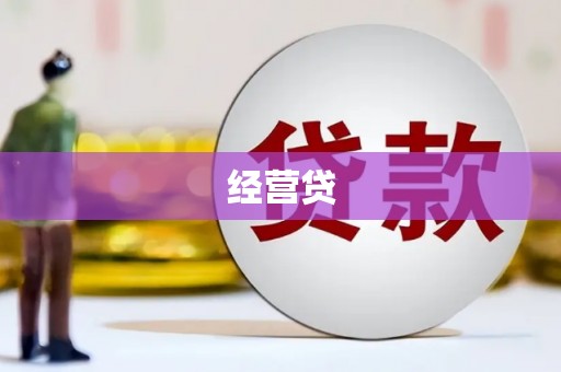 宜秀经营贷